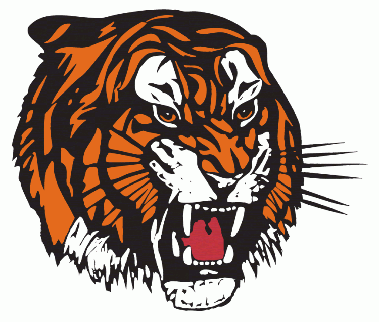 medicine hat tigers 2003-pres primary logo iron on transfers for T-shirts
